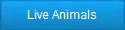 Live Animals