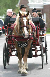Carriage Ride image